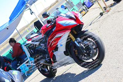 media/Oct-14-2023-TrackXperience (Sat) [[0517685739]]/Around the Pits/